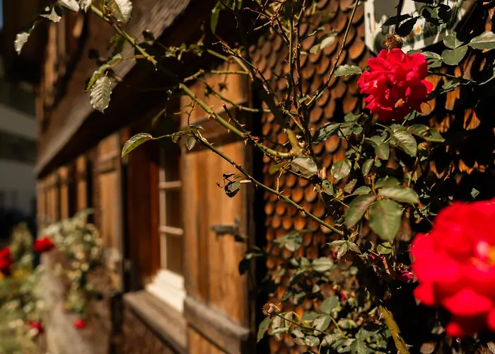 Haus Omagermana Lejlighed